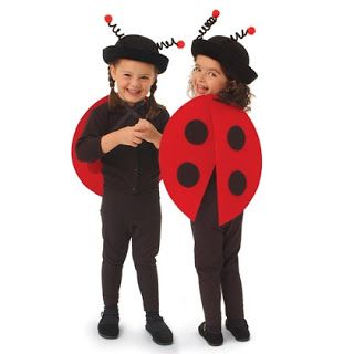 The Grouchy Lady bug at DIY Book week costumes